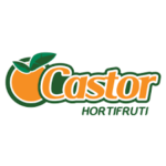 Cliente Terart