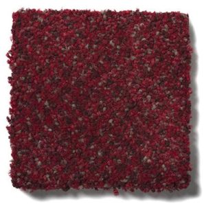 504 – Scarlet