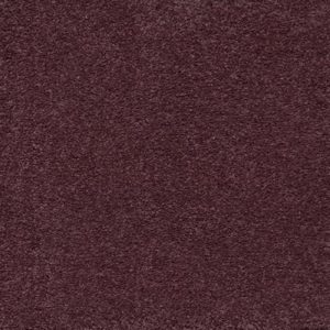 010 – Intense