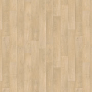 Holm Oak Blond